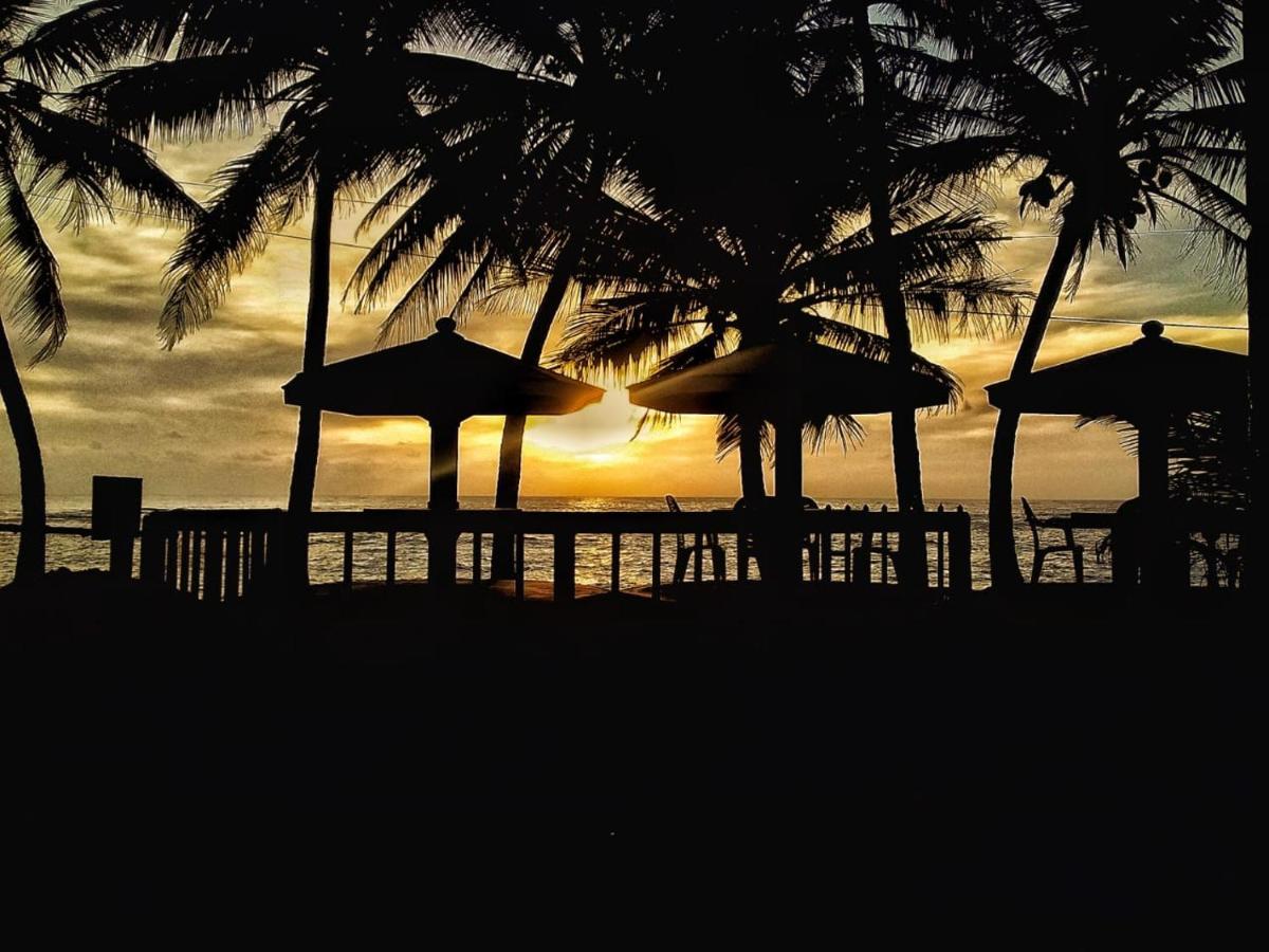 Guesthouse Panorama بيروفالا المظهر الخارجي الصورة