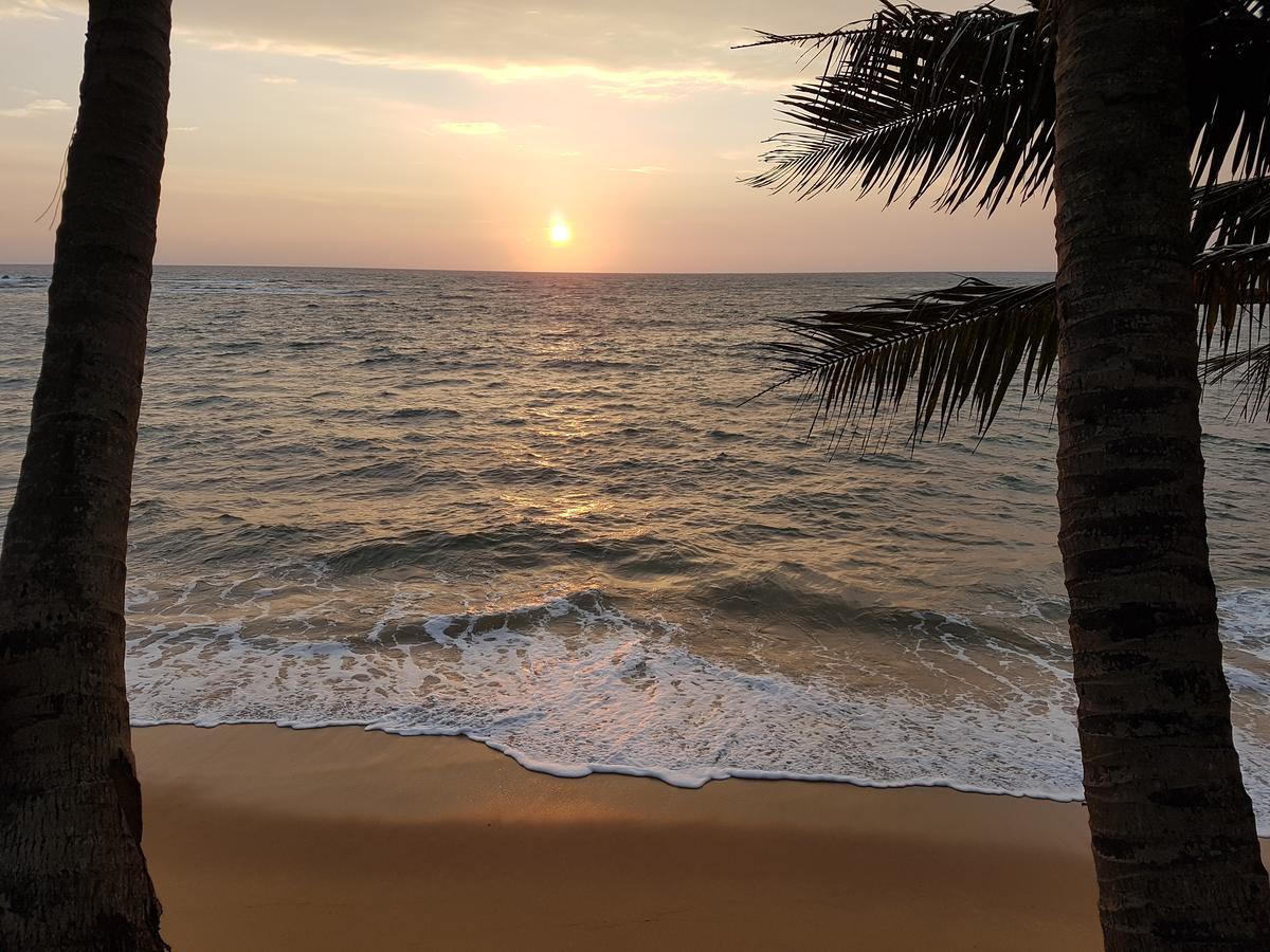 Guesthouse Panorama بيروفالا المظهر الخارجي الصورة
